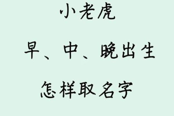 下午3点出生的属虎男孩如何起名，用什么字姓名