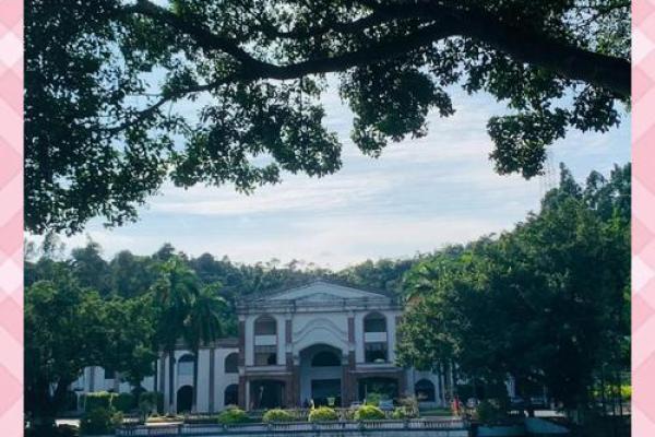 杨四将军灵签十六求学业