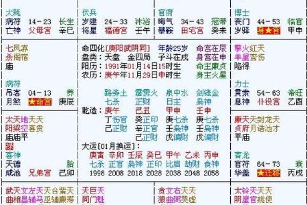紫薇斗数天罗地网