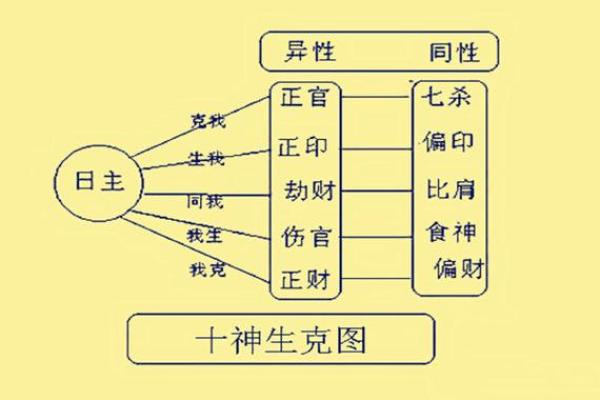 八字中的十神
