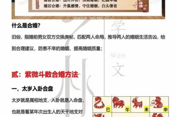 紫薇斗数流年财运1