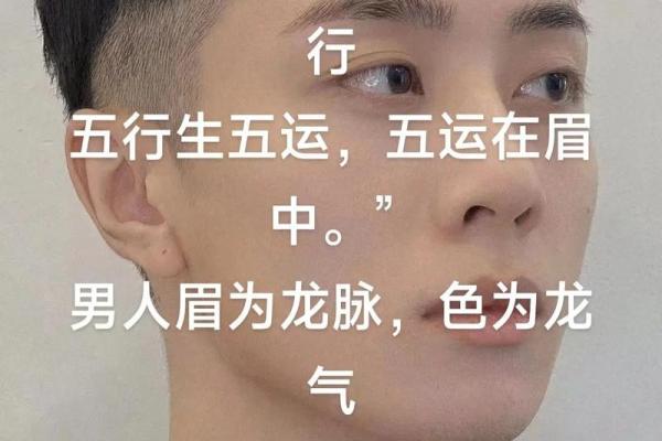 风水面相哪三种眉毛男人最好命