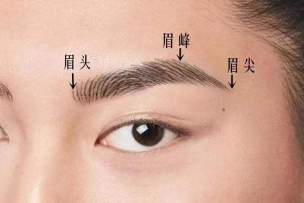 风水面相哪三种眉毛男人最好命