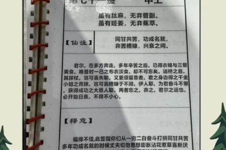 明天干什么去,月老灵签分几种