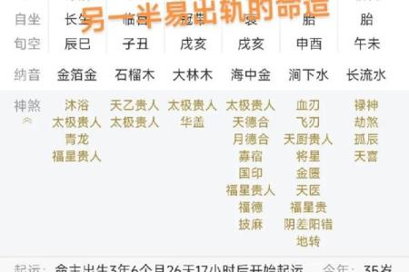 生辰八字夫妻宫壬水
