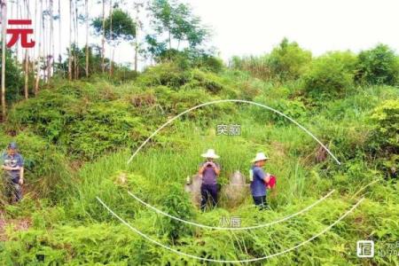 阴宅的周围山路风水，有何讲究