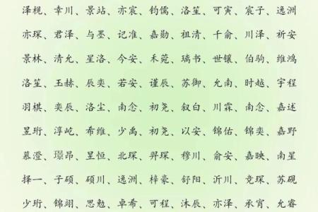 2019年3月21号未时出生的男孩要怎么起名字姓名