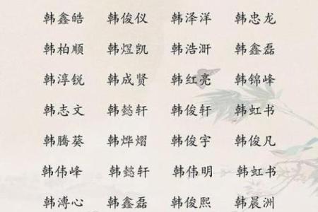 凌晨四点出生的属虎男孩应该取什么名，宜用什么字。姓名