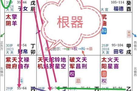 紫薇斗数高人解盘