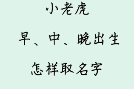 下午3点出生的属虎男孩如何起名，用什么字姓名