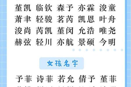 属猪辰时出生的男孩如何取名字，宜用什么字姓名