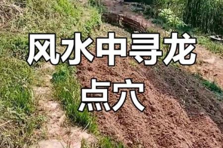 怎样的坟地才是风水宝地
