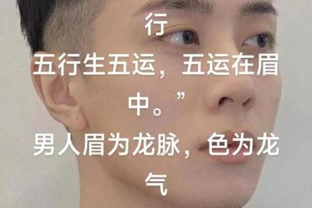 风水面相哪三种眉毛男人最好命