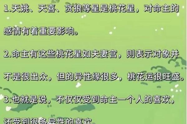 梅花占卜和紫薇斗数的区别