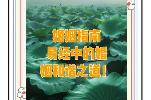 教会你选择促进婚姻和谐的风水