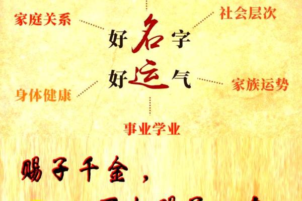 女孩缺木取名大全文雅,八字看下半年运势