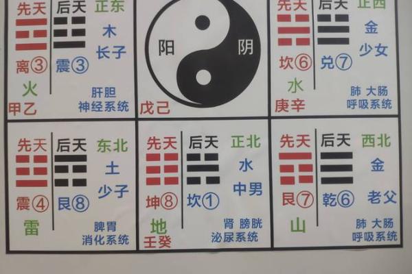 商业：办公养花风水与五行八卦