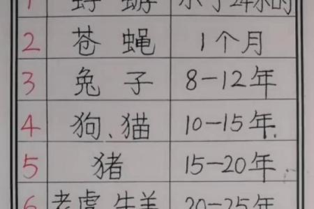 根据名字测试你是什么动物  本命动物测试