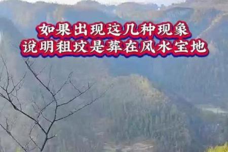 葬到风水宝地的预兆
