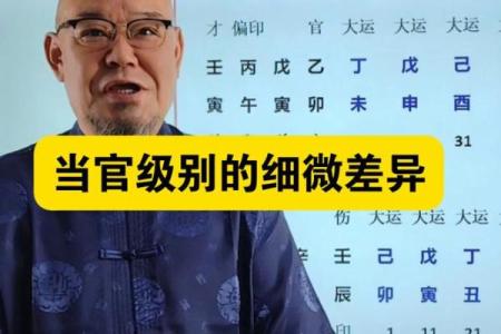 能当官的八字