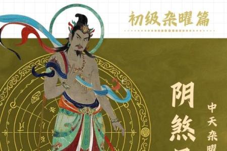 紫薇斗数太阴视频
