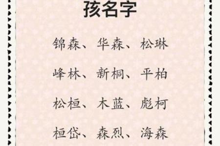 带木字旁的女孩名字-名字大全-姓名学-华易算命网姓名
