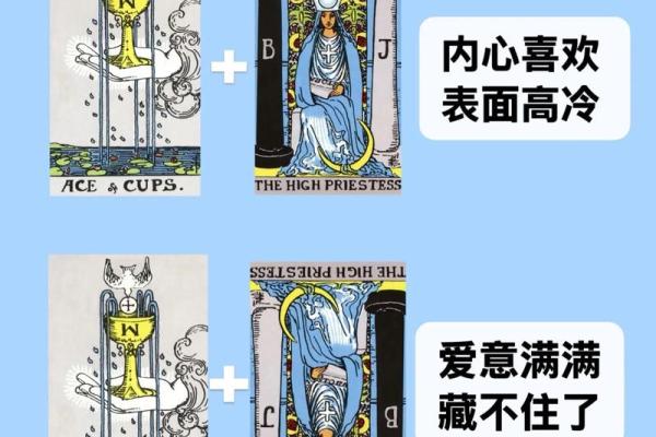 塔罗牌测试：11月你会脱单吗？
