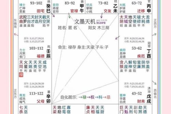 紫薇斗数明星命