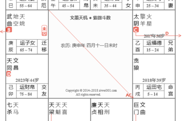紫薇斗数明星命