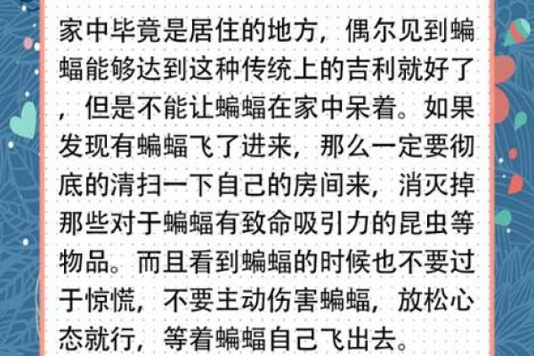 动物风水之家里飞进蝙蝠的解说