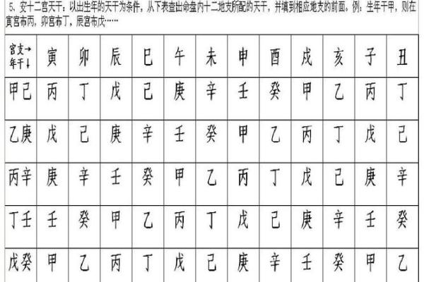 马大夫紫薇斗数