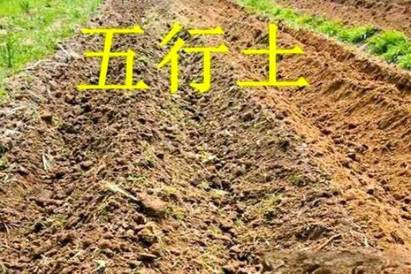 八字四个土