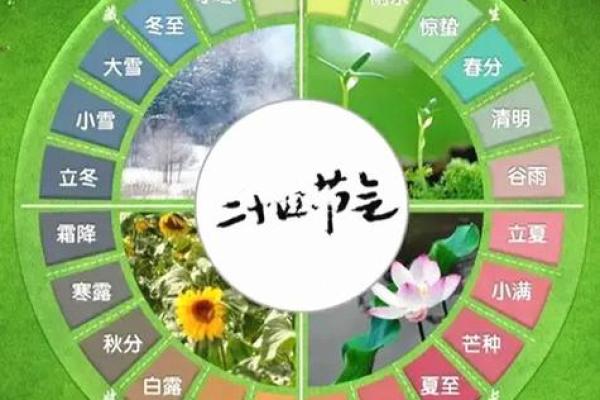 节气对八字