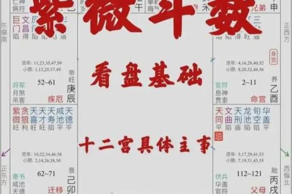 图解紫薇斗数禄忌