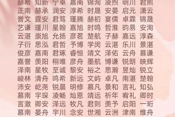 2019年3月23号卯时出生的男孩如何起名姓名