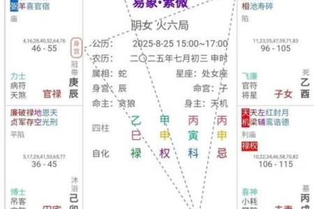 紫微斗数诸星落诸宫之，天梁星：阳土疾厄宫详解