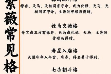 紫微斗数之河洛四化分析论断的基本方法：气数位分析论断法