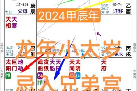 紫薇斗数看兄弟宫化权