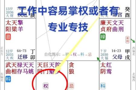 紫微斗数官禄宫天姚
