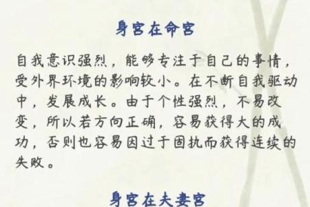 紫薇斗数下属