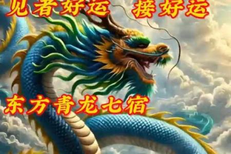 紫薇斗数里青龙是什么意思