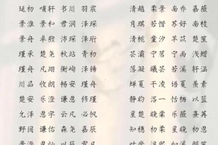 2019年3月16号巳时出生的男孩要怎么起名字姓名