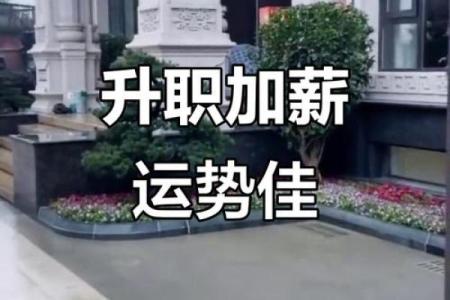 不利于升职加薪风水 老板看上你了也没用