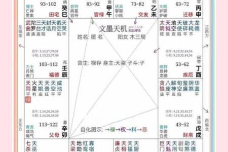 紫薇斗数明星命