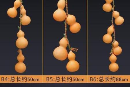 挂照片的风水