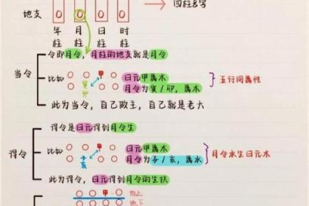 八字入门必背知识