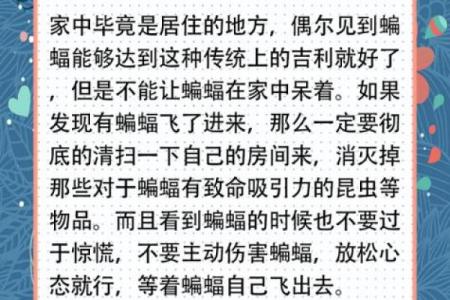 动物风水之家里飞进蝙蝠的解说