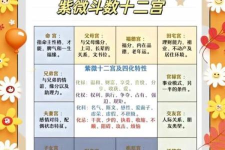 紫微斗数诸星落诸宫之：紫微星兄弟宫详解