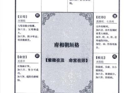 【紫微斗数】排盘技巧016：特殊格局的分析
