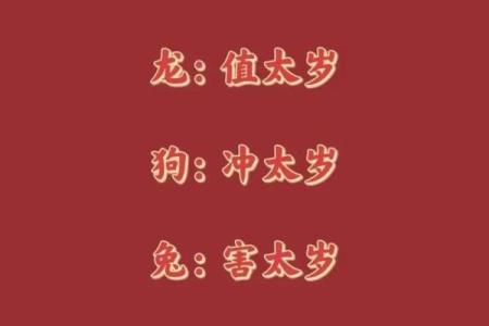 最准算命网免费算命2024年